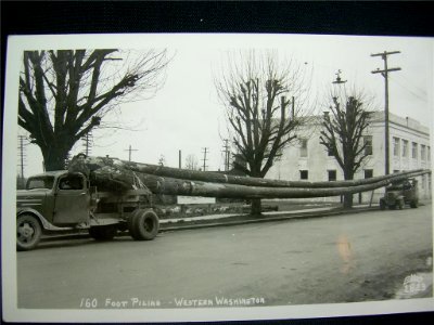 160-PilingOnTrucks