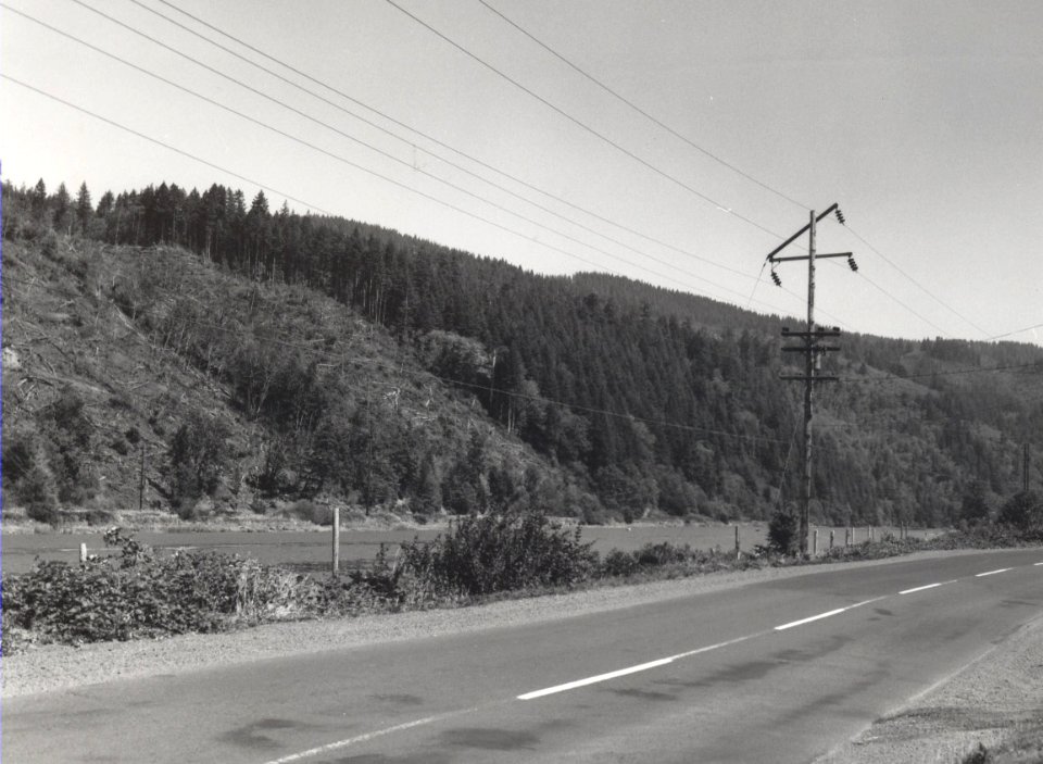 clearcut river