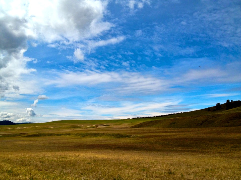 Rolling grasslands along the Pacific Northwest Trail in Eden Valley, near Havillah, Washington 2