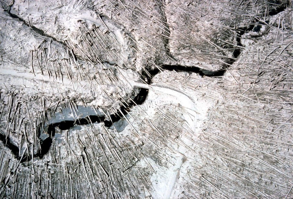 040jackstrawed timber resize