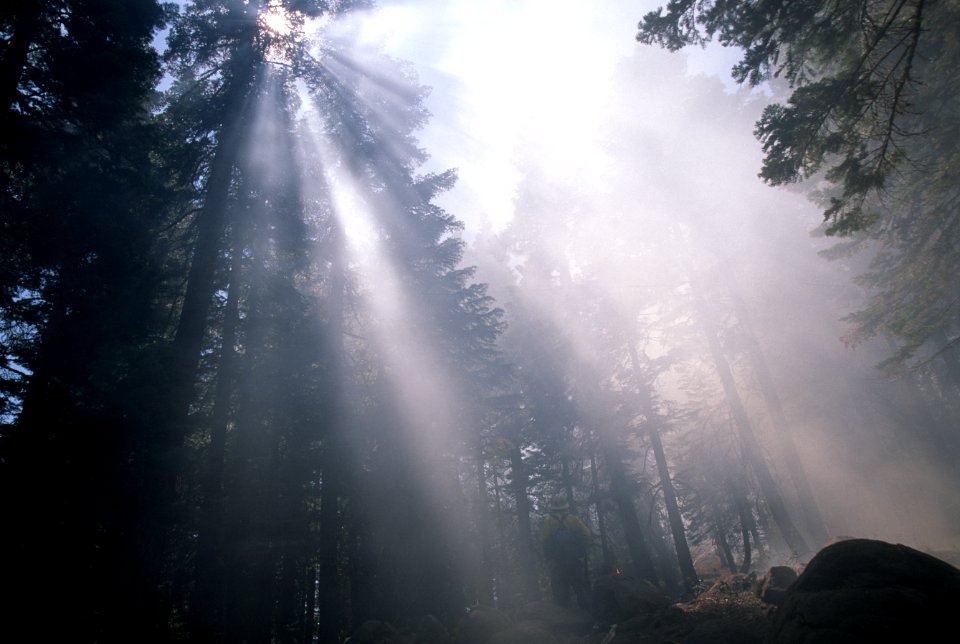 141 Rogue River-Siskiyou National Forest Biscuit Fire