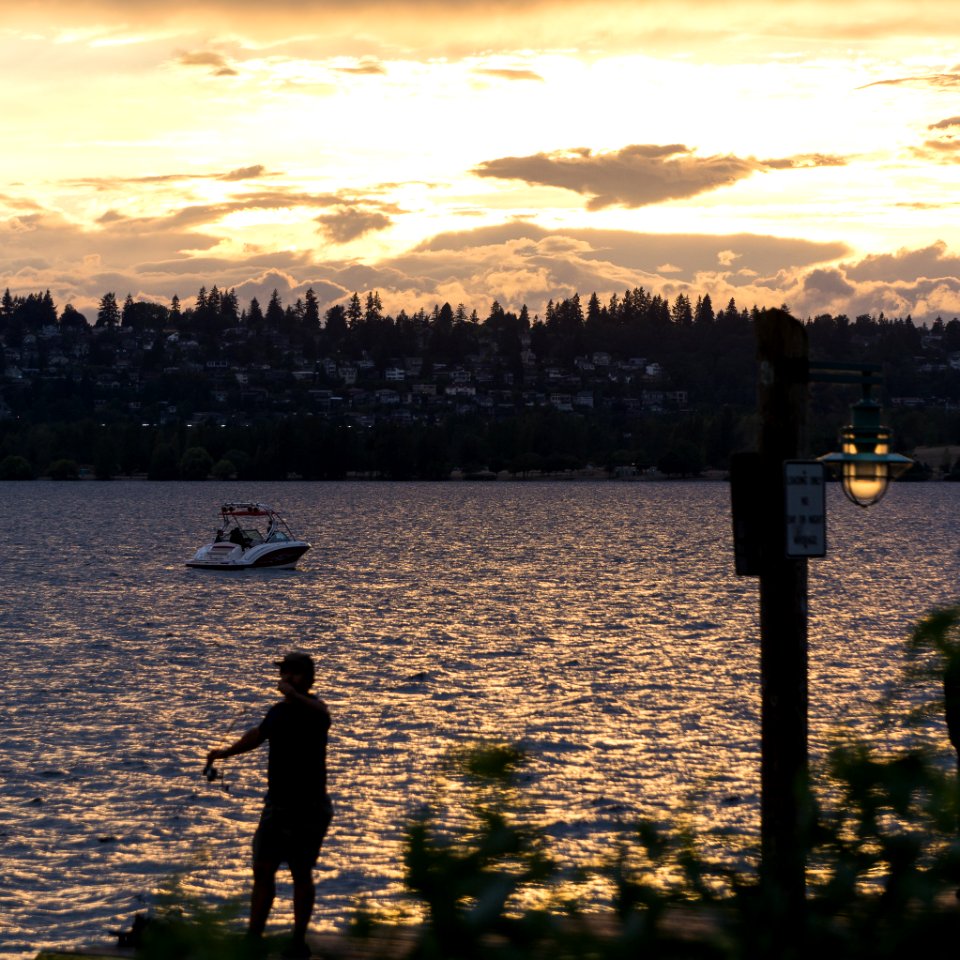 Kirkland Marina