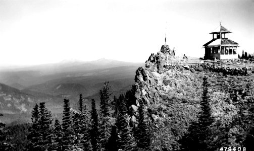 479408 Horsepasture LOH, Willamette NF, OR 1952 photo