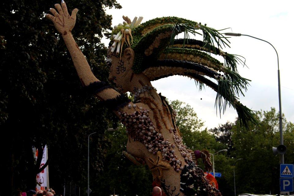 IMG 0609