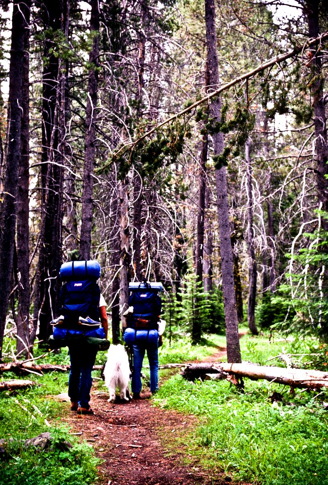 BACKPACKERS AND DOG-FREMONT WINEMA