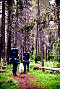 BACKPACKERS AND DOG-FREMONT WINEMA