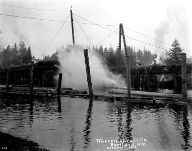 214 Dumping Logs at Toledo, Showing Splash