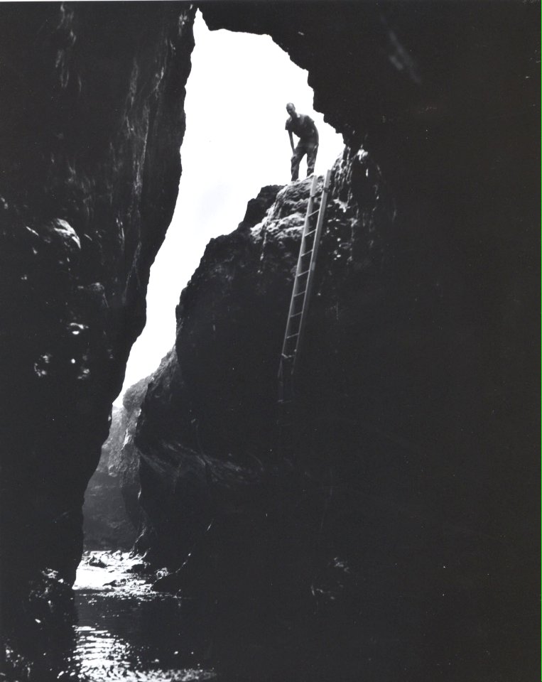 Devils churn ladder