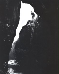 Devils churn ladder
