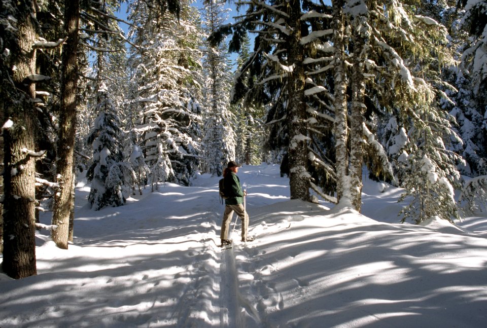 Crosscountry skiing Mt Hood National Forest-2.jpg