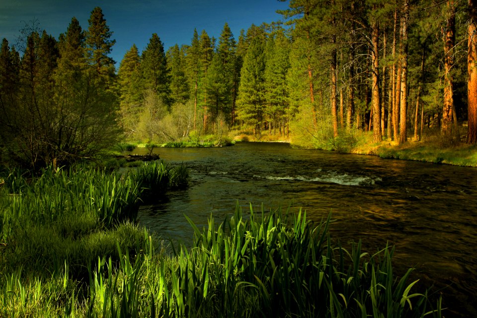 Deschutes National Forest Metolius River