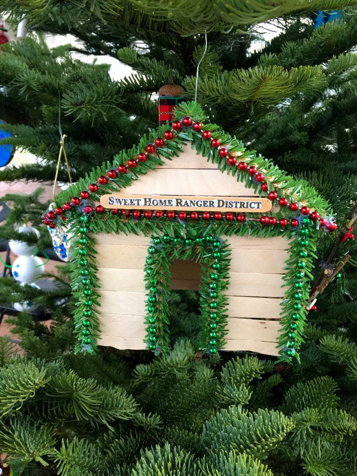 Sample Ornaments for the US Capitol Christmas Tree