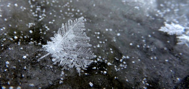 Ice Crystals in Winter photo
