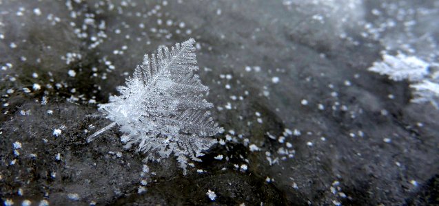 Ice Crystals in Winter