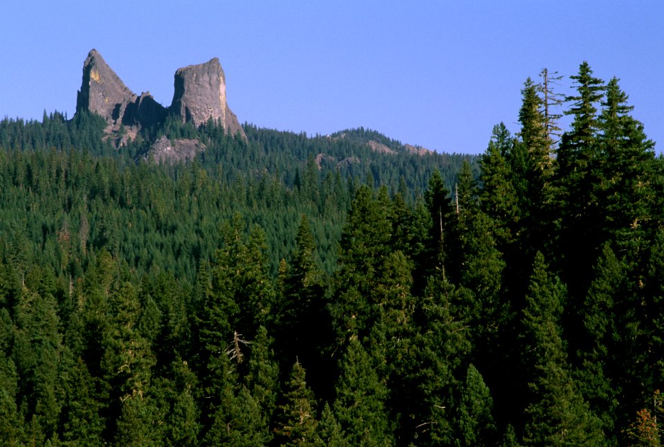 Rabbit Ears, Rogue River-Siskiyou National Forest.jpg