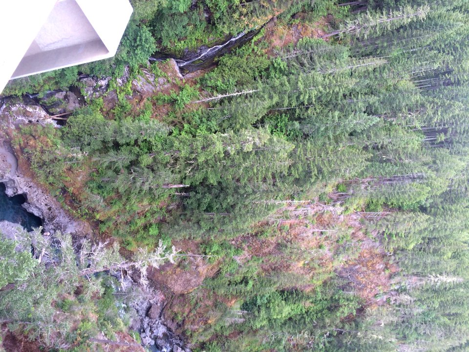 View from HIgh Steel Bridge, Olympic National Forest