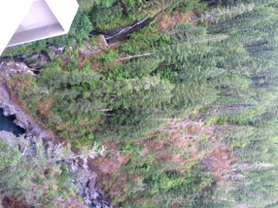 View from HIgh Steel Bridge, Olympic National Forest
