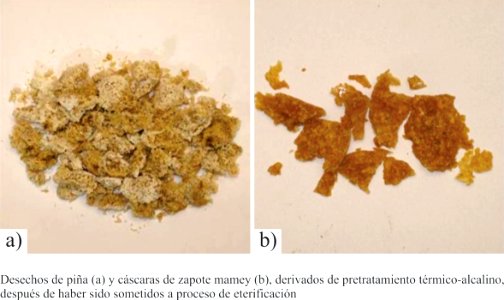 Piña y zapote mamey derivados de pretratamiento térmico-alcalino