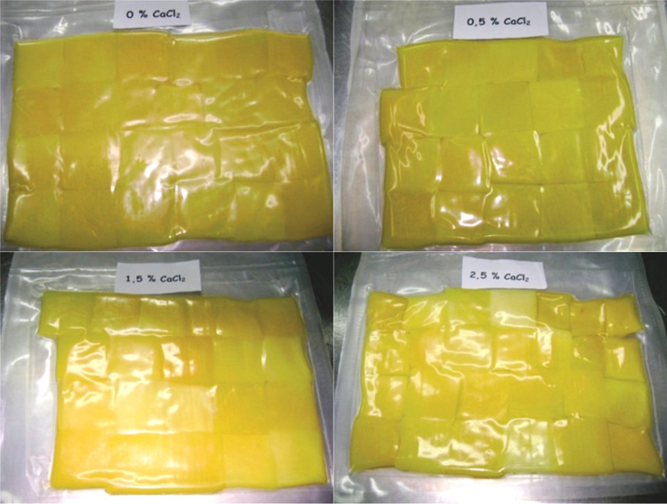 Láminas de mango deshidratadas y empacadas a vacío