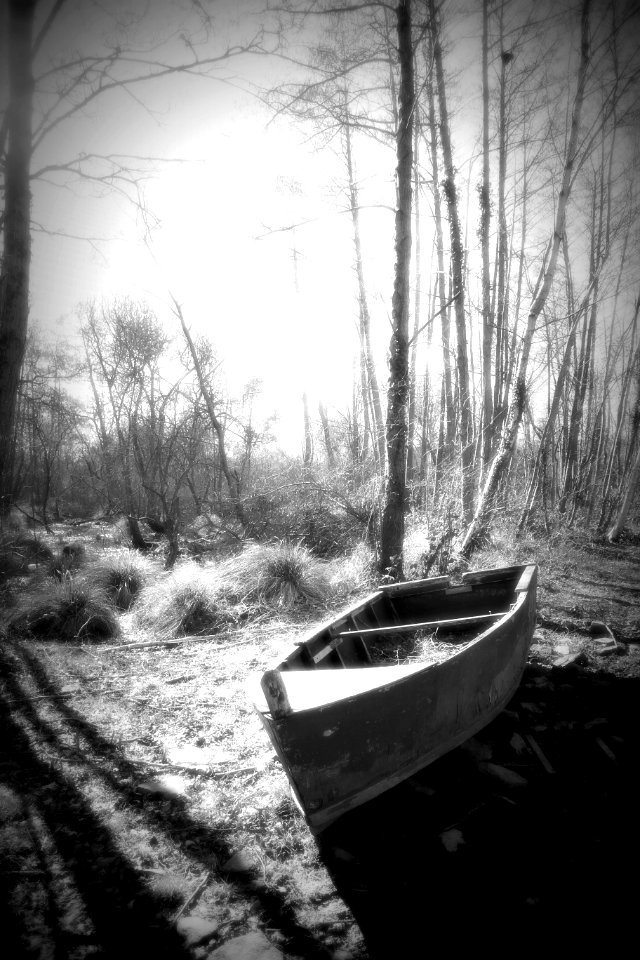 Erdre 2018 25-02-2018 15-46-47