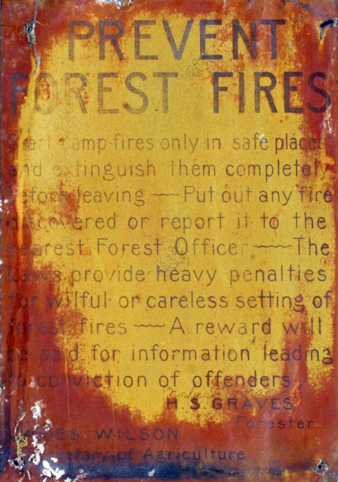 Prevent Forest Fires 2