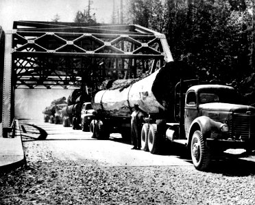 Willamette NF - Log Trucks, Bruckart Bridge, OR 1955 photo