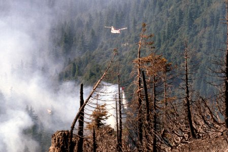 135 Rogue River-Siskiyou National Forest Biscuit Fire photo
