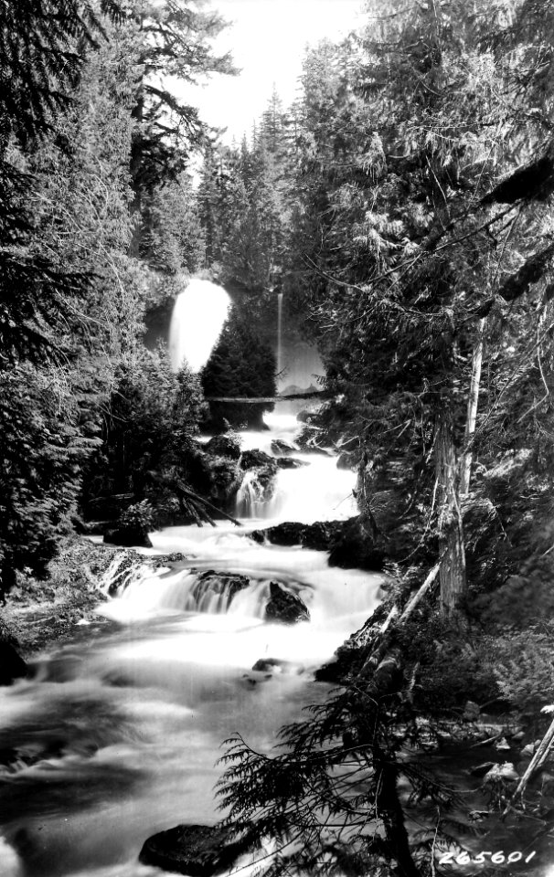 265601 Sahalie Falls, Cascade NF, OR 1931