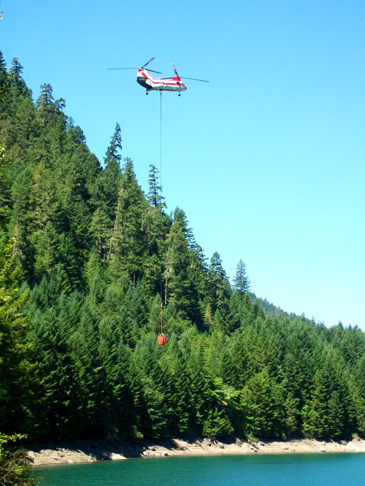 Landes Creek Fire-100, Willamette National Forest