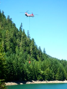 Landes Creek Fire-100, Willamette National Forest
