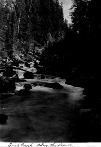 Umpqua NF - Fish Creek, OR c1910 photo