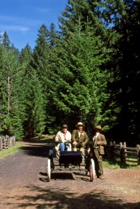 Willamette NF - 1903 Olds at Fish Lake, OR 1991j photo