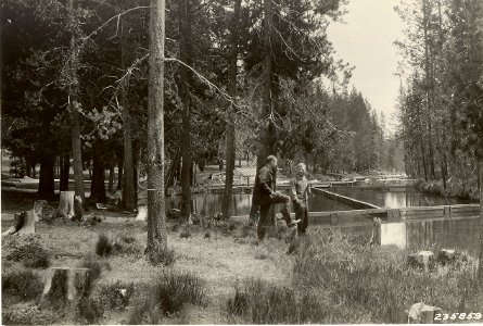 16100-11 Foresters at work - possibly the Metolius River c1930