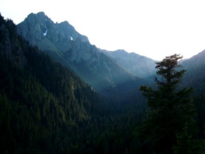 Buckhorn Mountain, Olympic National Forest photo