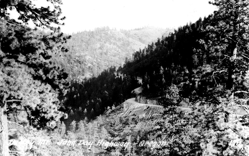 176 Doaley (maybe) Mt., John Day Highway, Oregon