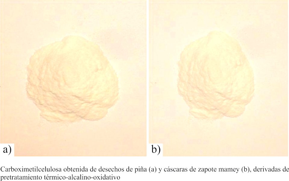 CMC de piña y zapote mamey derivados de pretratamiento térmico-alcalino-oxidativo