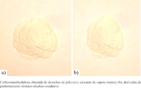CMC de piña y zapote mamey derivados de pretratamiento térmico-alcalino-oxidativo