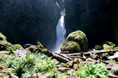 Boulders and Ferns at Wahclella Falls-Columbia River Gorge photo