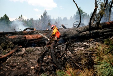 252 Malheur National Forest. Pine Springs fire
