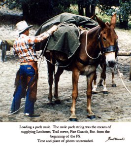 Loading Pack Mule, c1950 - Unruh color