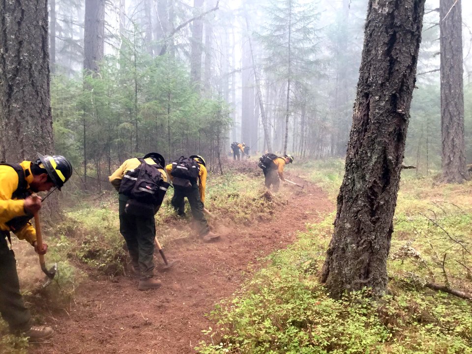 Imperial Forestry Type 2 Crew digging line, Umpqua National Forest on Sunday, Aug. 20, 2017. Meredith Childs, Alaska Interagency Incident Management Team