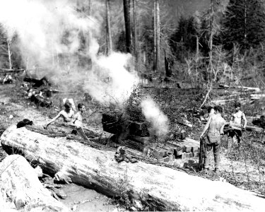 340166 CCC Burning Brush, Snoqualmie NF, WA 1936 photo