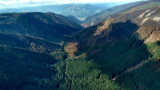 Looking NNW down Tanner Creek upper, above the Eagle Creek Fire area Sept. 23, 2017.