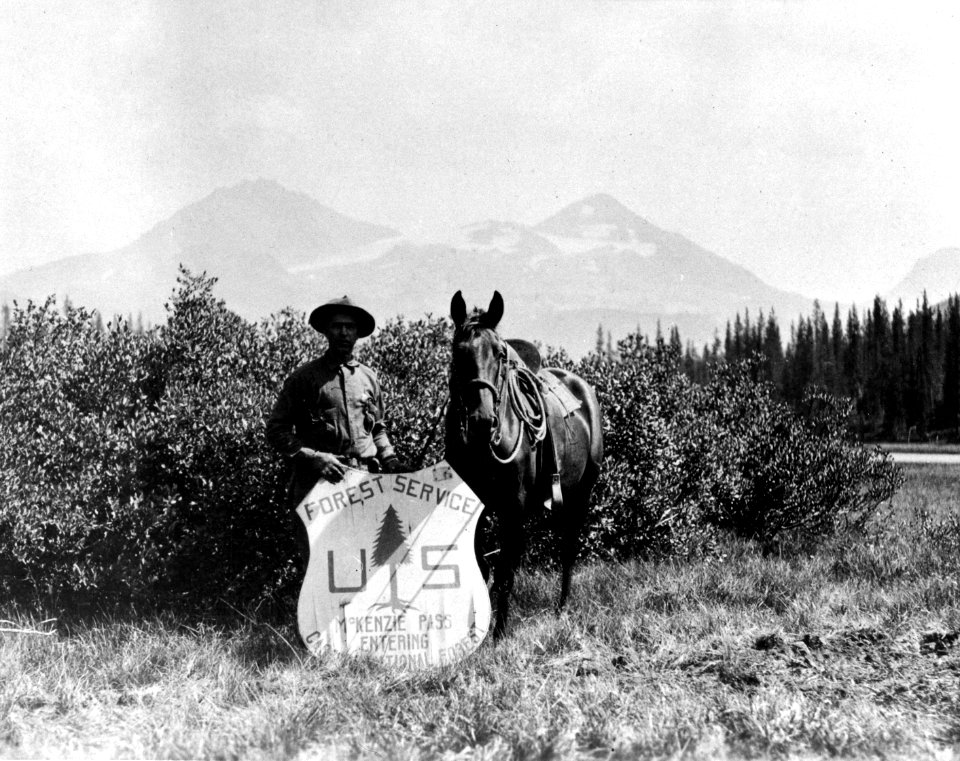 Cascade NF - McKenzie Pass Sign, Prince Glaze, OR c1925