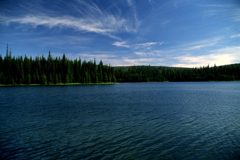 JUBILEE LAKE AND SHORELINE-UMATILLA