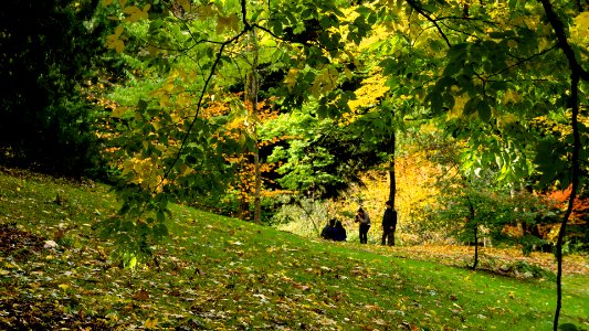 Washington Park Arboretum