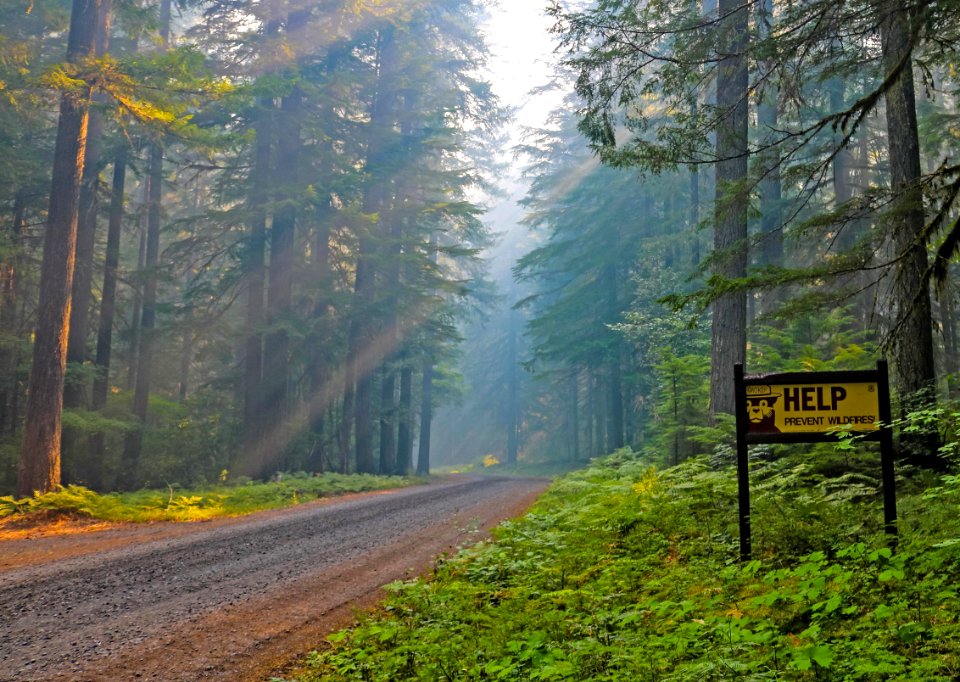 Forest Service Road, Smokey Bear Fire Prevention Message, Willamette National Forest