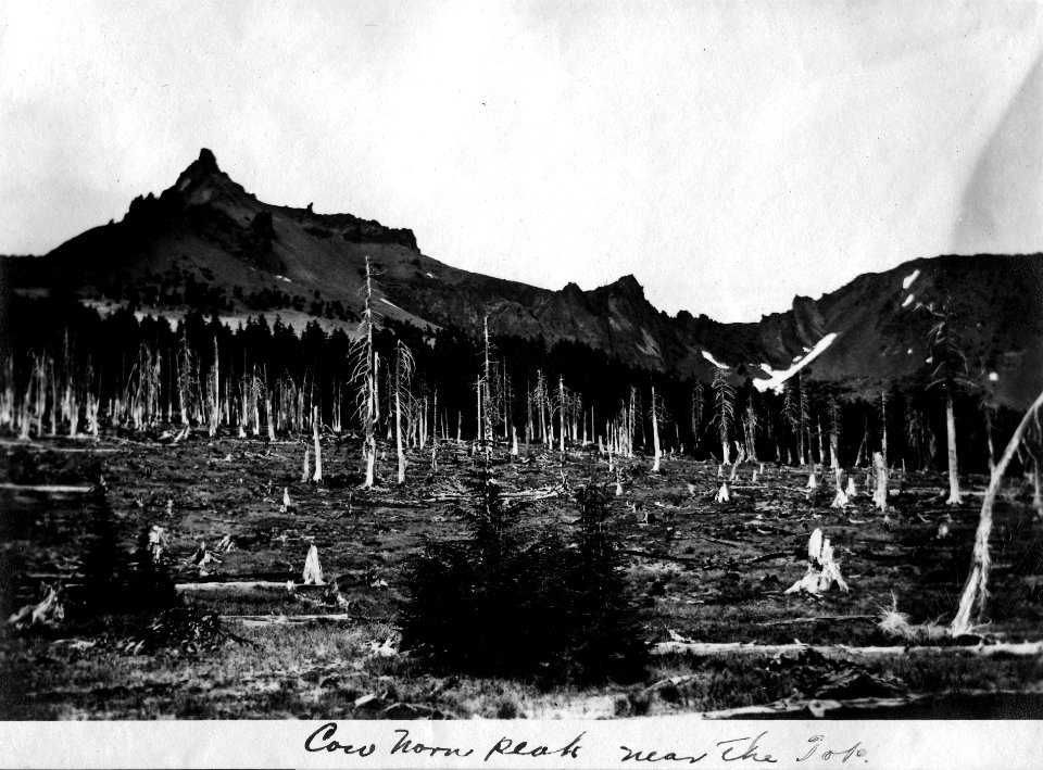 Umpqua NF - Mt. Thielson