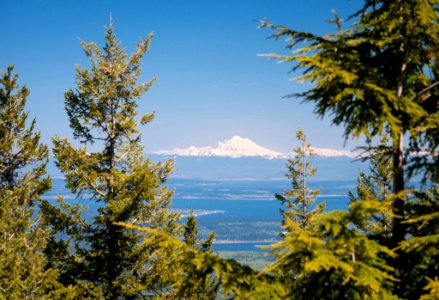 Mt Baker from the PNT on Mt Zion, Olympic National Forest photo