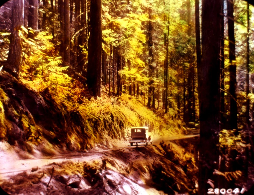 280041 CCC Truck Trail, Lake Cushman, WA 1933